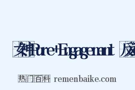 鹡鸰女神～Pure+Engagement～反义词是什么意思的图片
